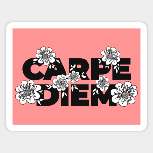 Carpe Diem I Magnet